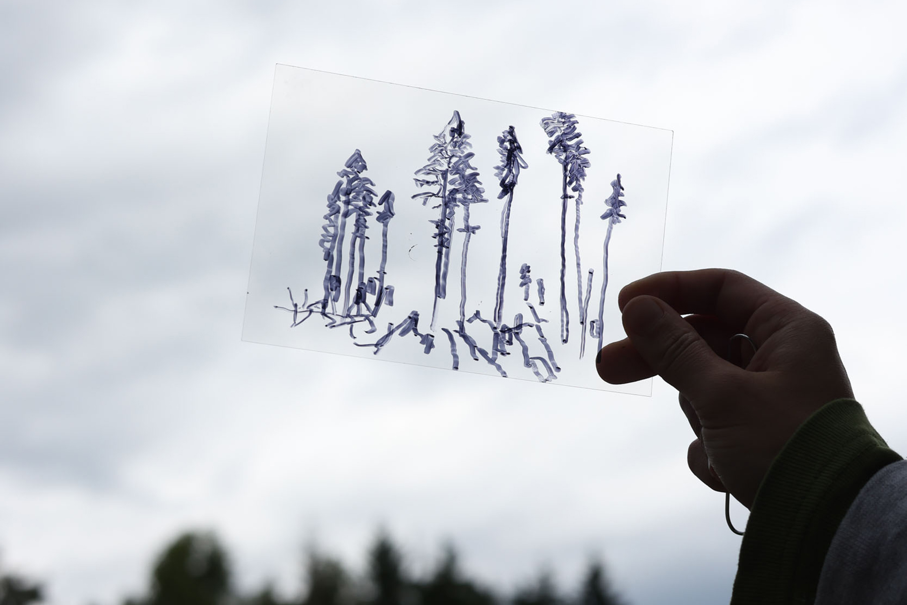 christian doeller forest reset forester